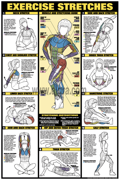 Outer Thigh Stretch  Illustrated Exercise Guide